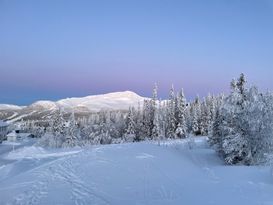 Panoramautsikt högt upp i Åre Björnen