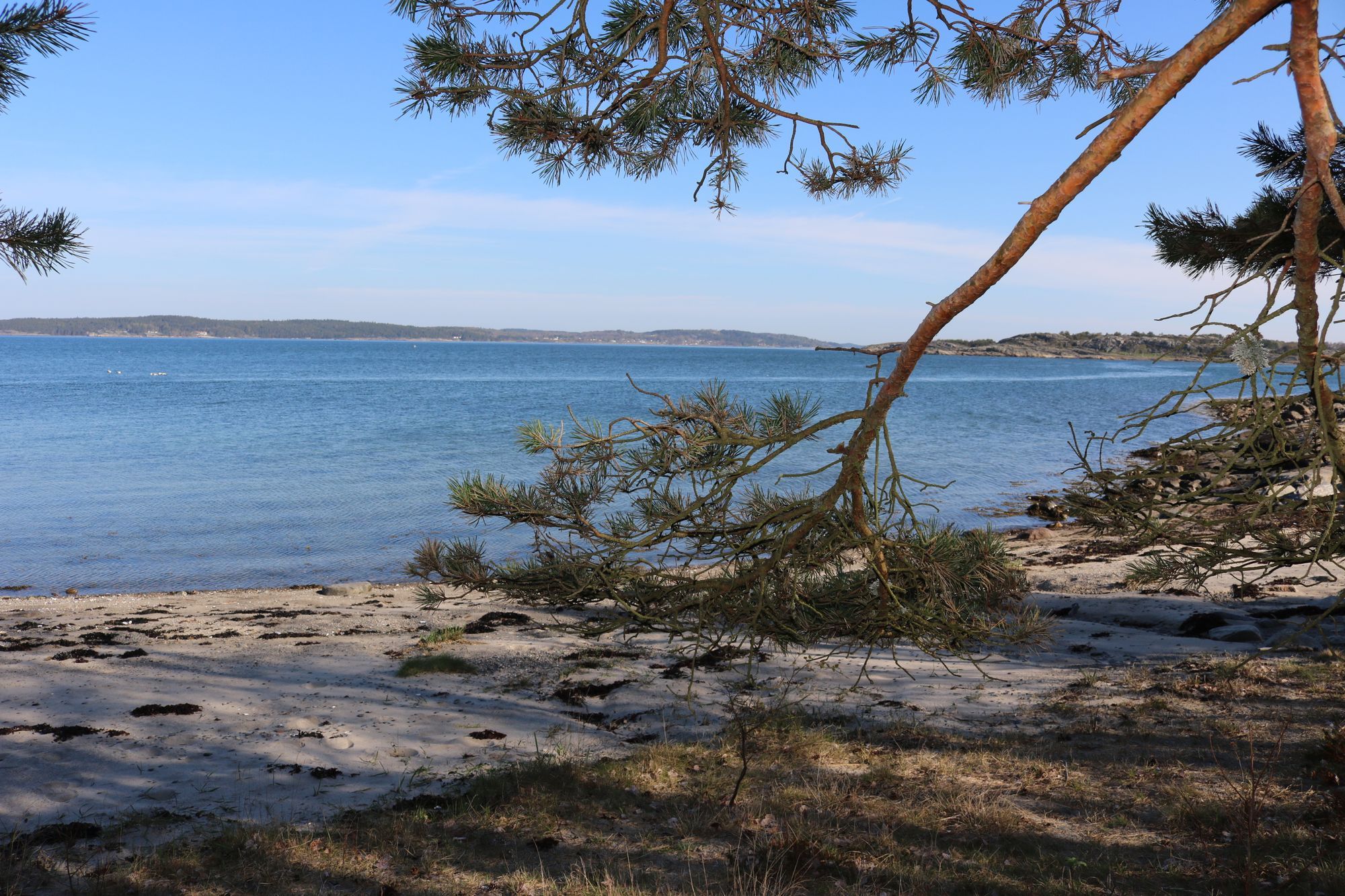 Hus vid havet – bild 5 av 14