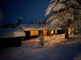 Stuga med vedeldad bastu i Näsfjället