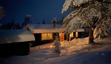 Stuga med vedeldad bastu i Näsfjället