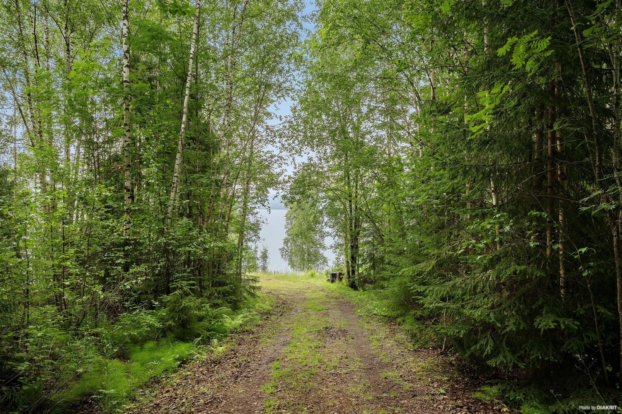 Egen sandstrand & avskildhet–stuga vid Lakenesjön – bild 14 av 14