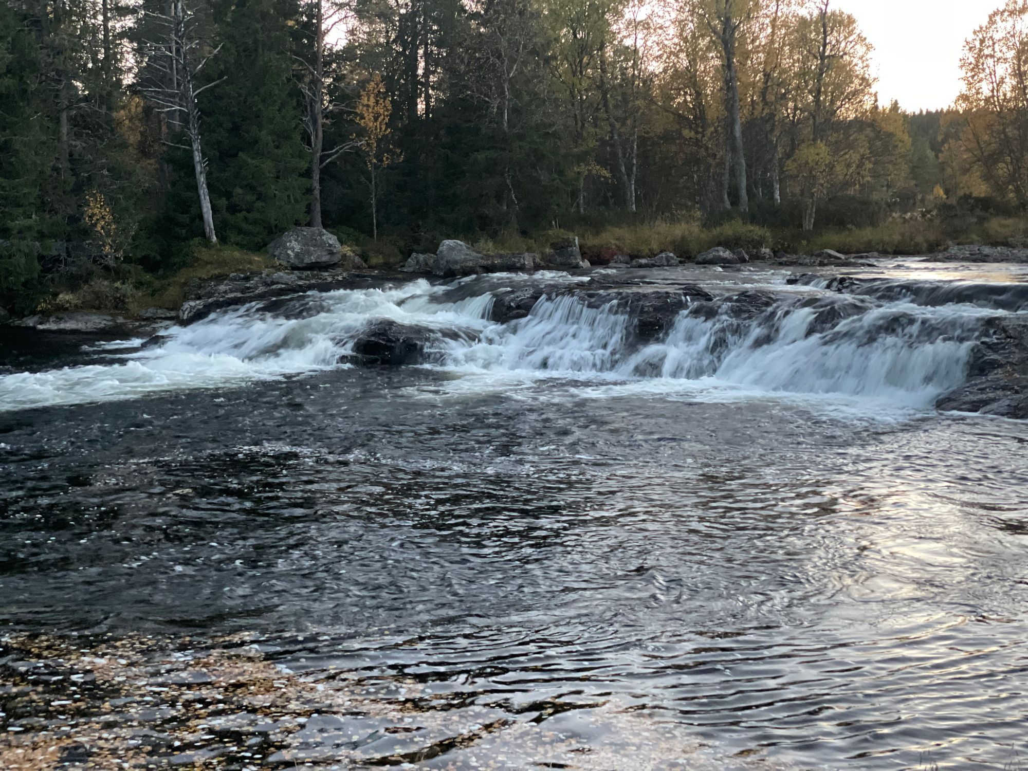 Fjällstuga Grövelsjön Storsätern 4 bäddar – bild 6 av 9