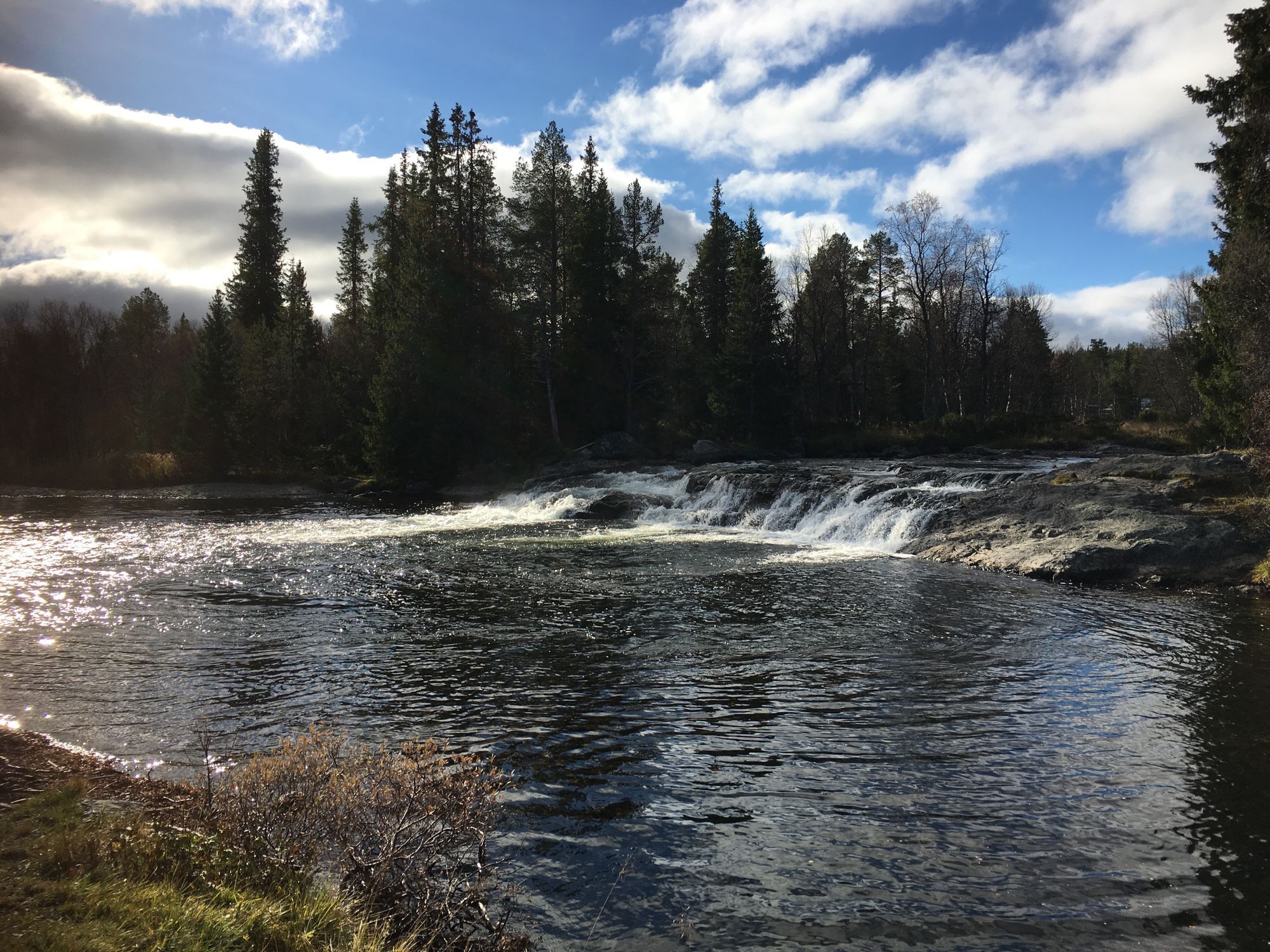 Fjällstuga Grövelsjön Storsätern 4 bäddar – bild 8 av 9