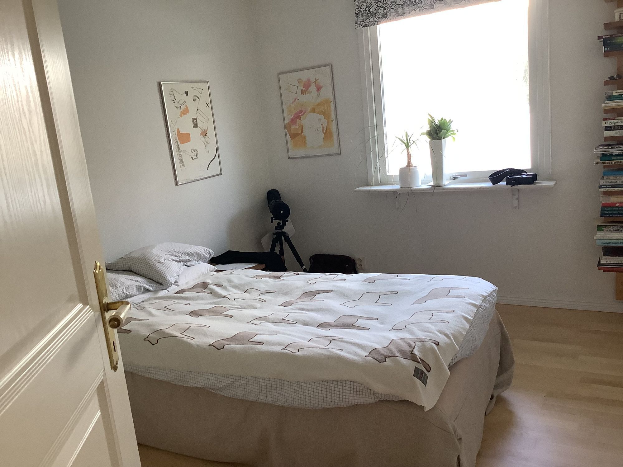 Strandnära hus i Halmstad – bild 13 av 23