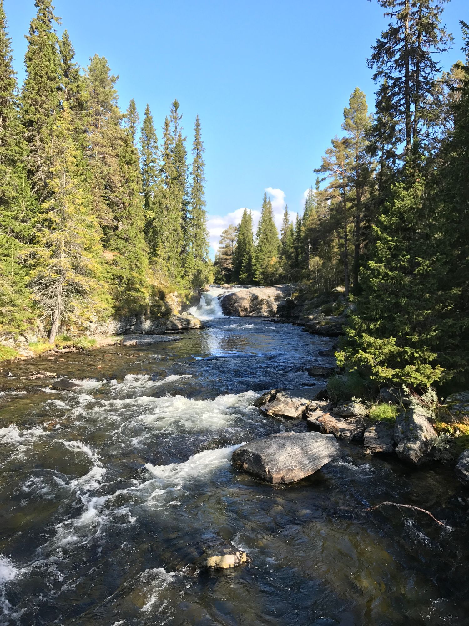 Fjällstuga Grövelsjön Storsätern 4 bäddar – bild 7 av 9