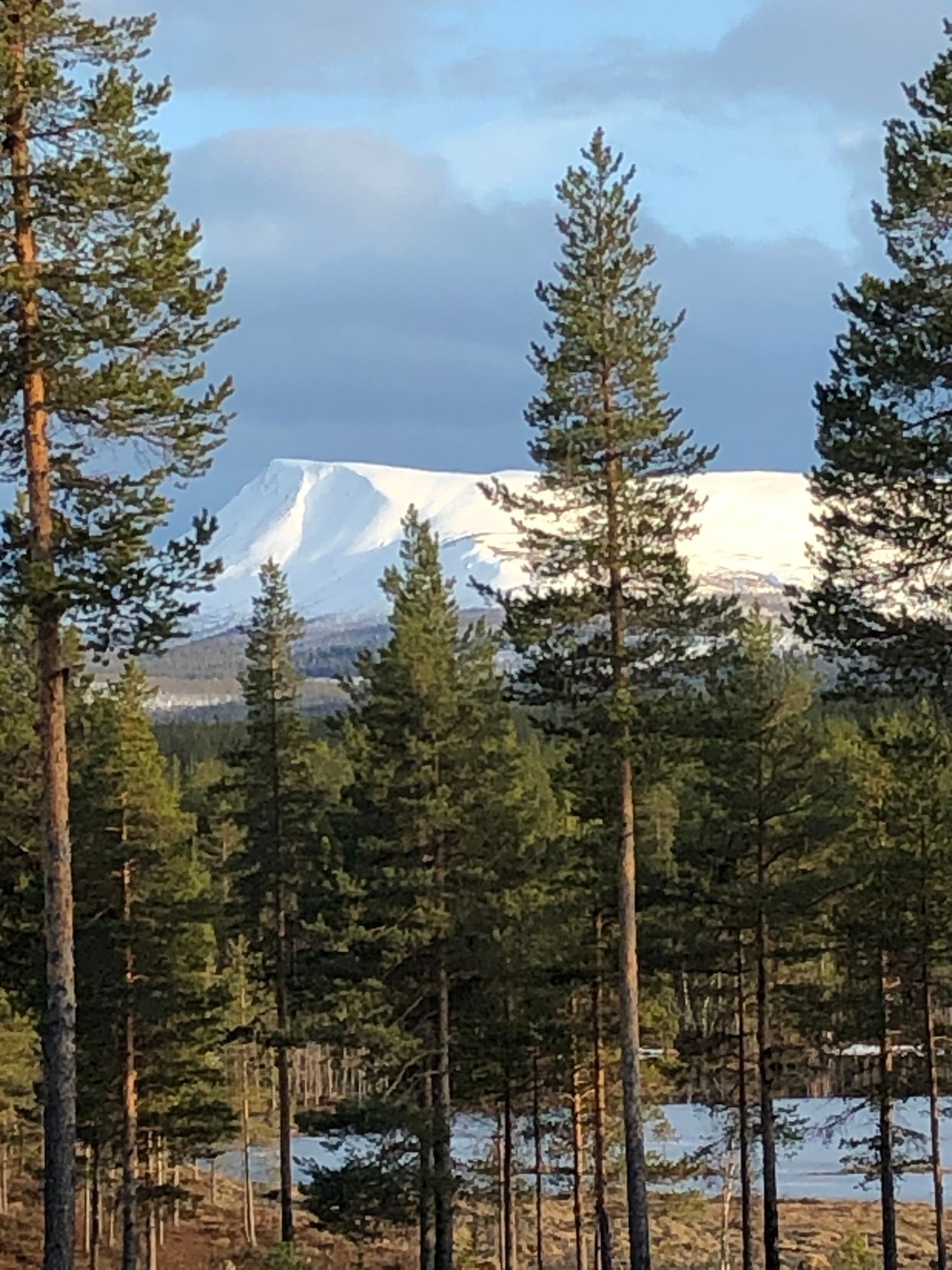 Mysig stuga i Härjedalen – bild 8 av 8