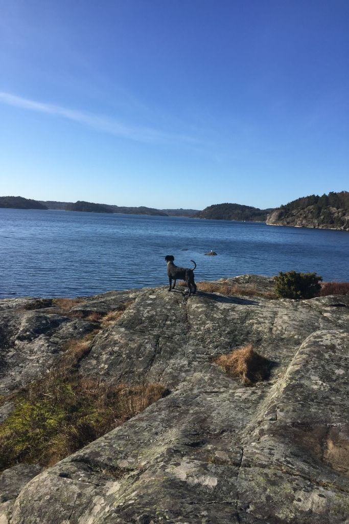 Hus med bastu, 650 meter till badplats | SE09135 – bild 20 av 24
