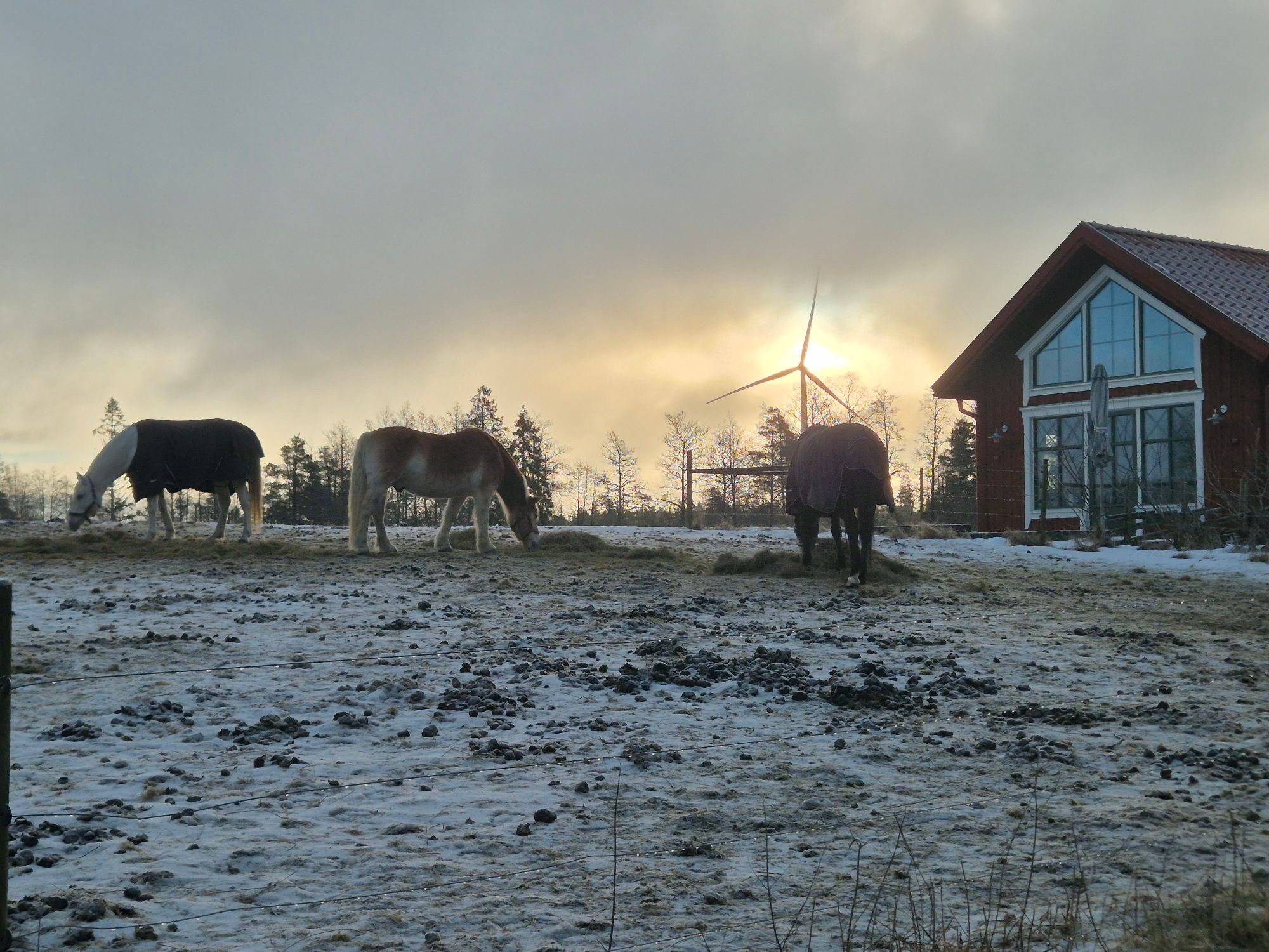 Kålgårdsstugan – bild 24 av 24