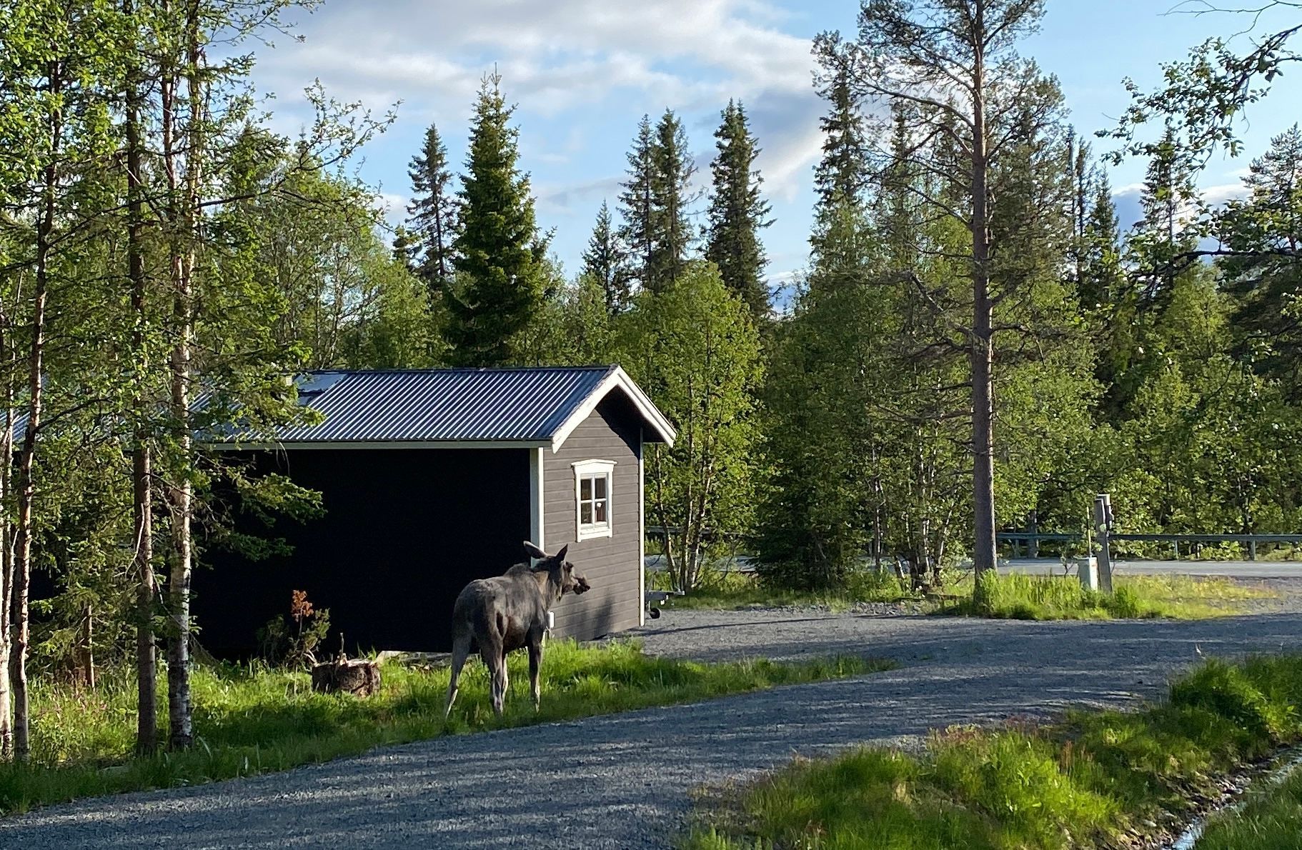 Fjällstuga i Grövelsjön – bild 24 av 24