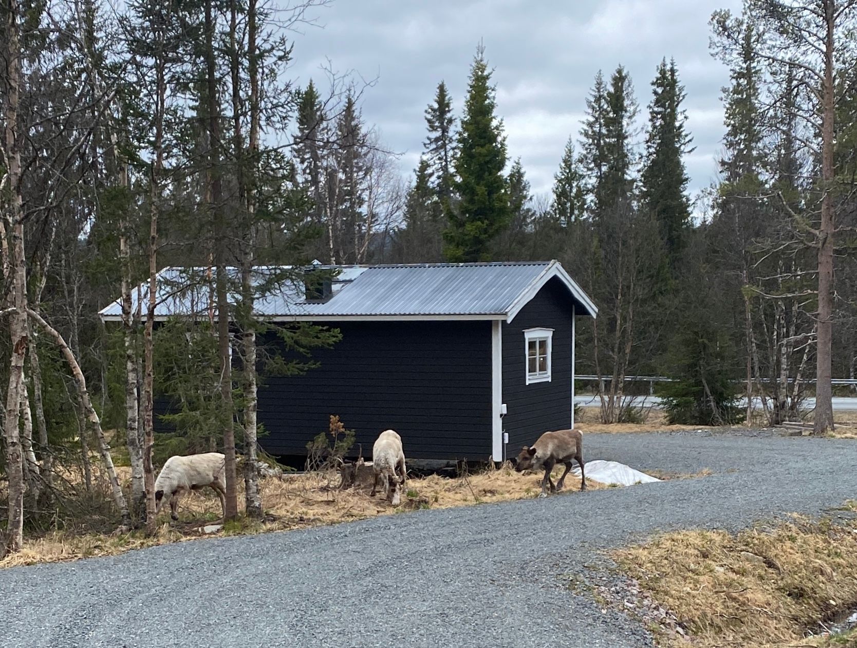 Fjällstuga i Grövelsjön – bild 23 av 24