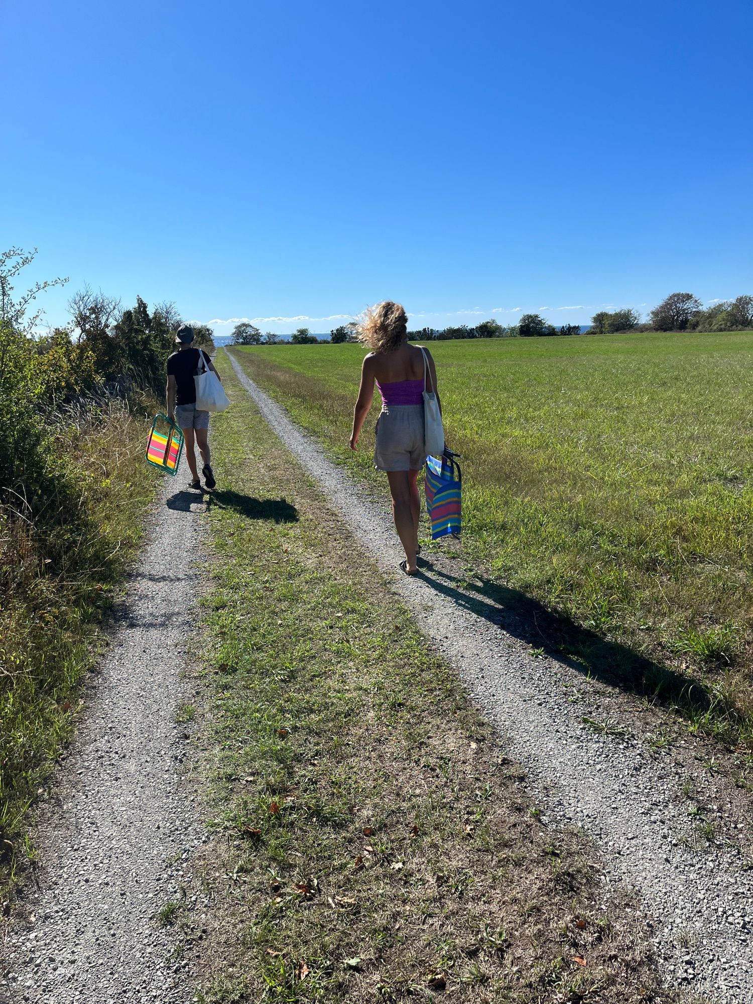 Bo vid havet på Norra Öland i sommar – bild 8 av 12