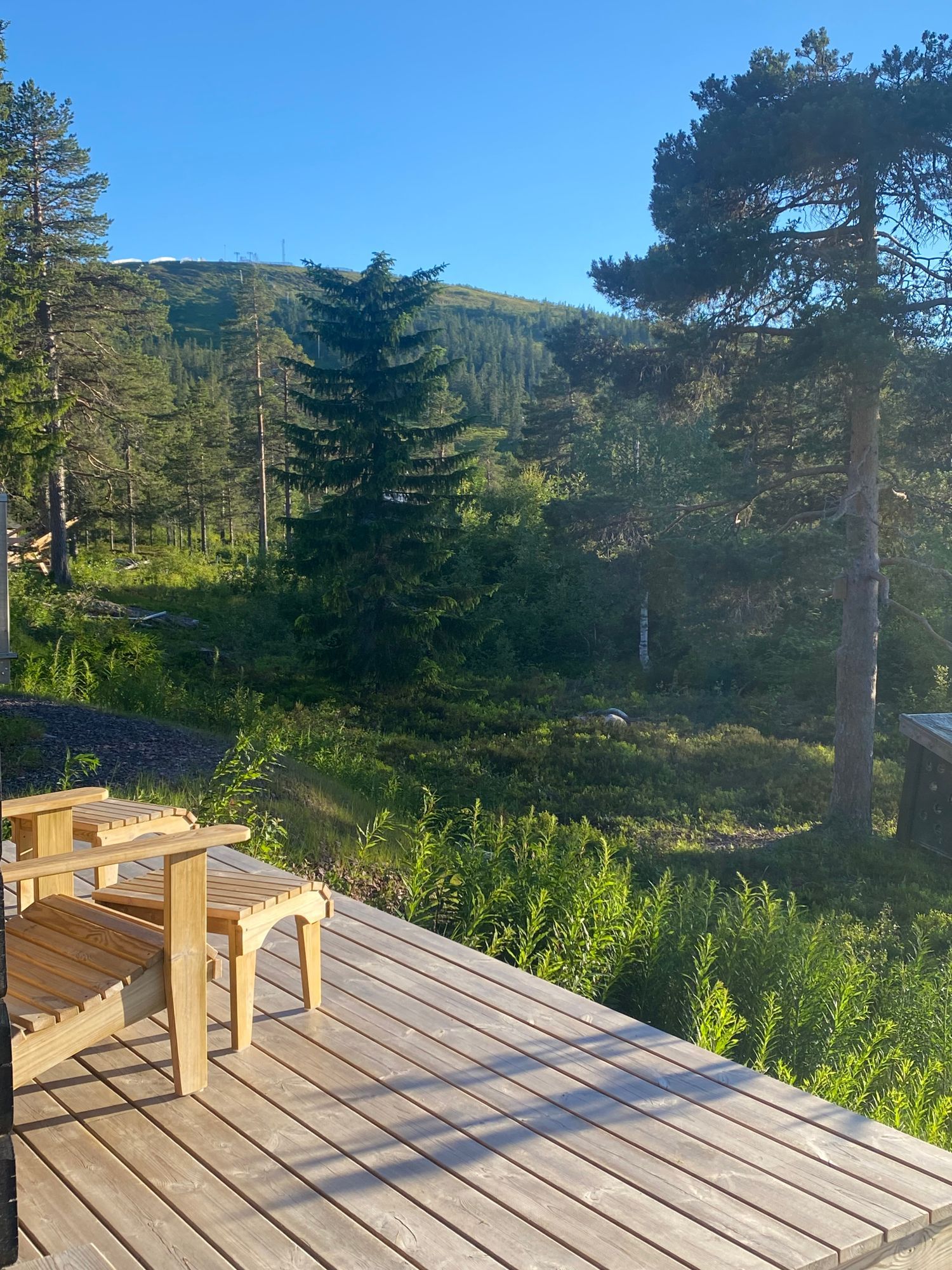 Näsfjället, Sälenfjällen – bild 11 av 20