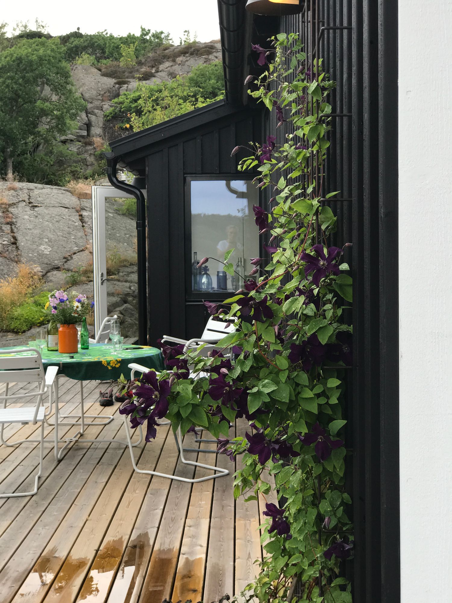 Fritidshus med havsutsikt, Tjörn/Rönnäng – bild 24 av 24