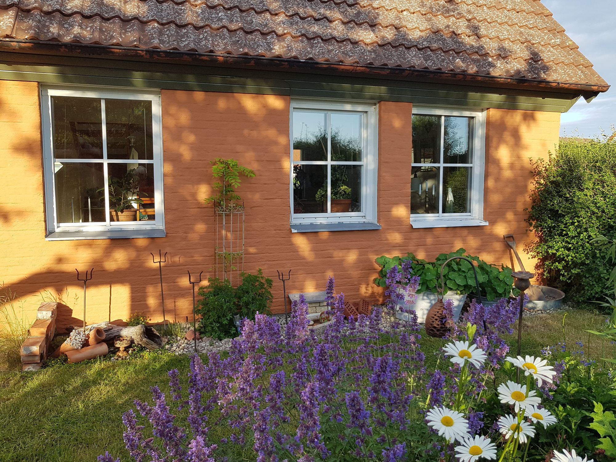Brantevik! Sommar - 26.