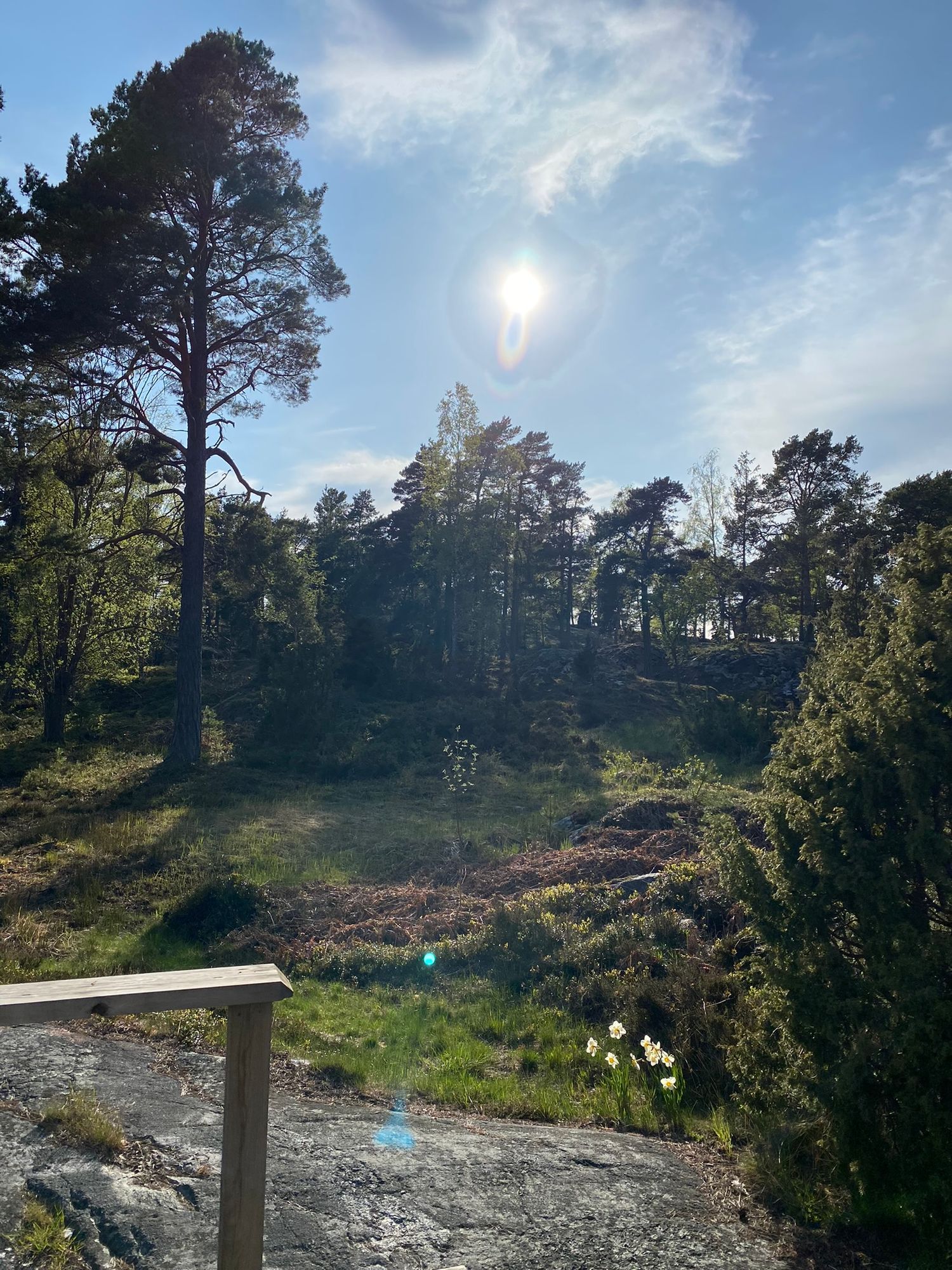 Havsnära i Stockholms Skärgård med egen sjötomt – bild 20 av 24