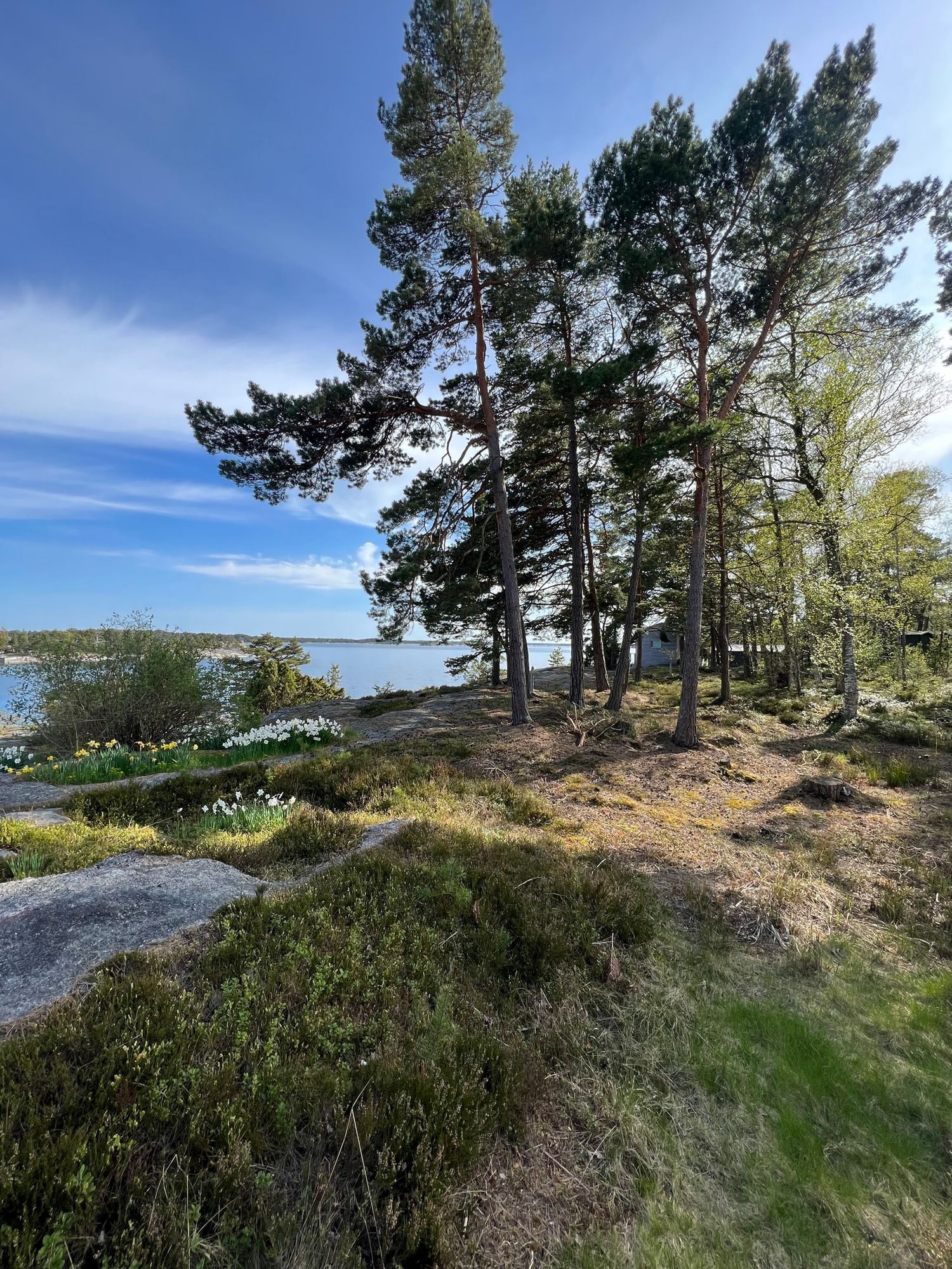 Havsnära i Stockholms Skärgård med egen sjötomt – bild 19 av 24