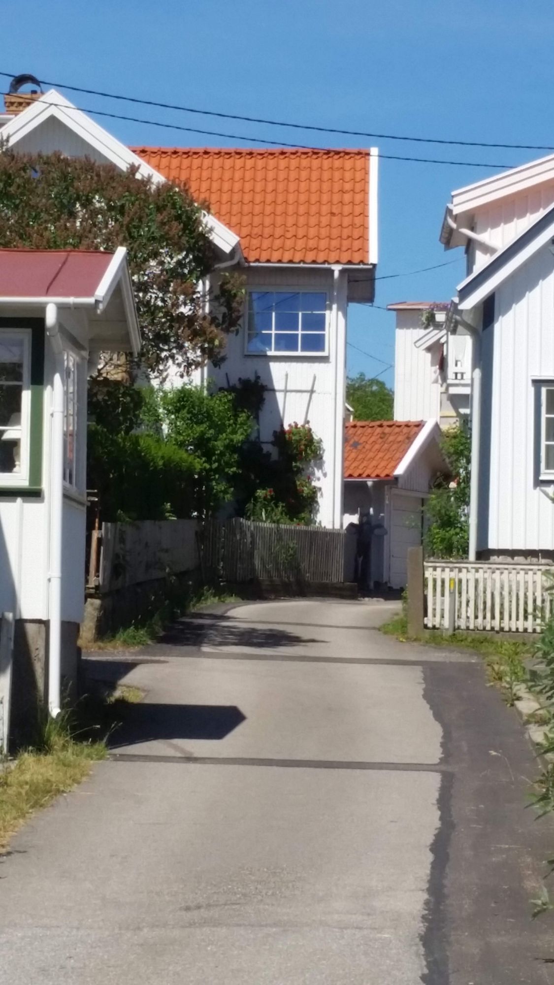 Liten stuga i Bleket på Tjörn uthyres – bild 24 av 24