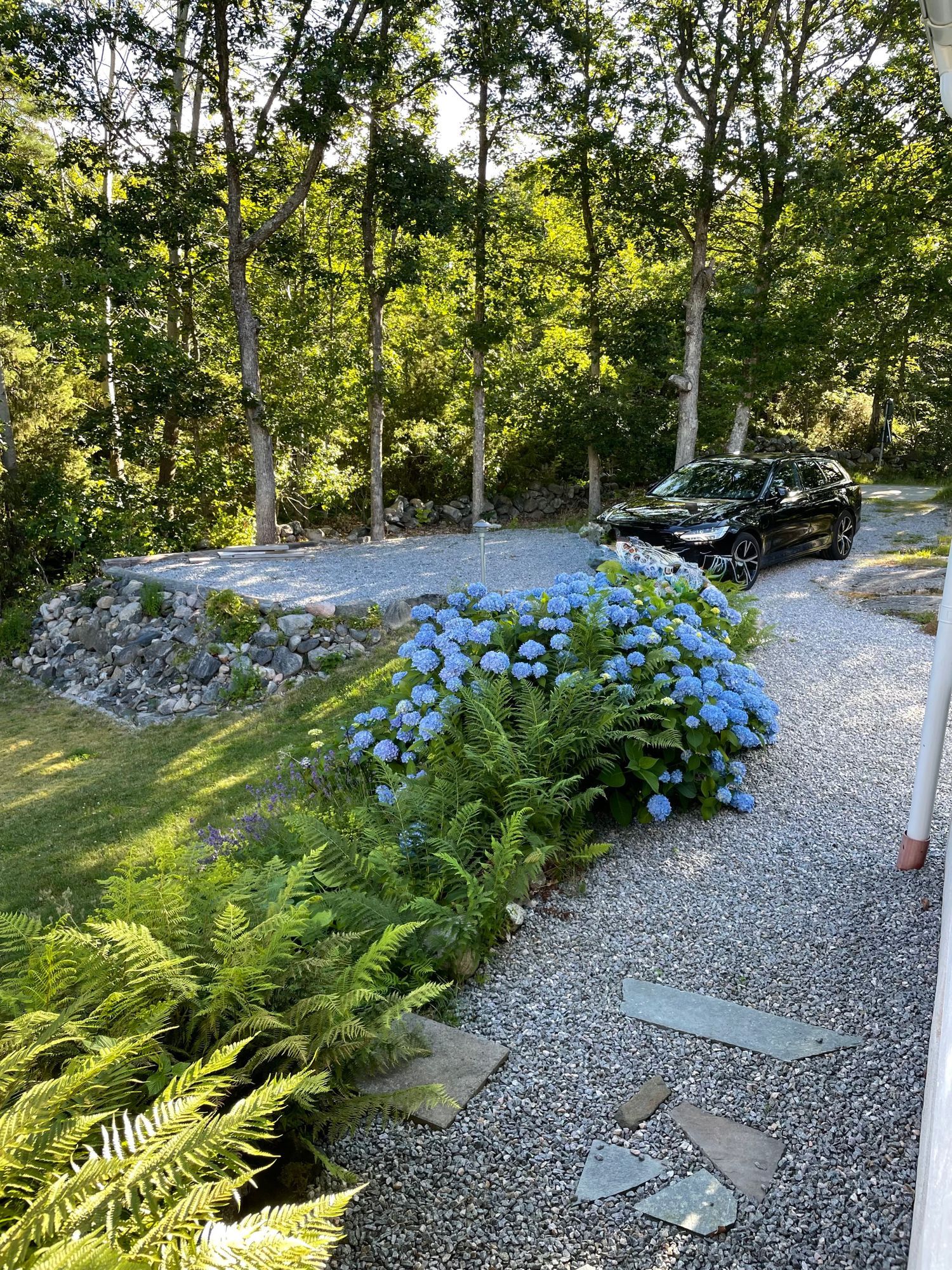 Skogsbrynet – bild 5 av 24