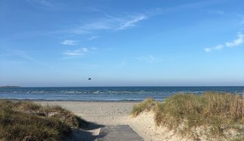 Sommaroas nära havet