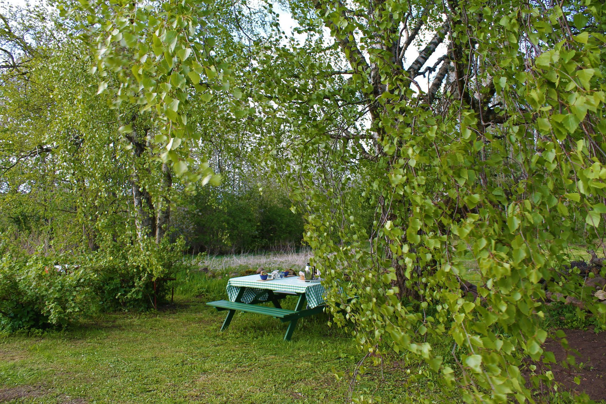 Rogivande boende i 1800-talsmiljö – bild 10 av 24