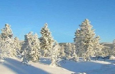 Hundfjället, parhus m 2 lgh, bastu, kamin, Wifi – bild 24 av 24