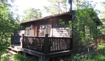 Stuga i tallskog mitt på Gotland