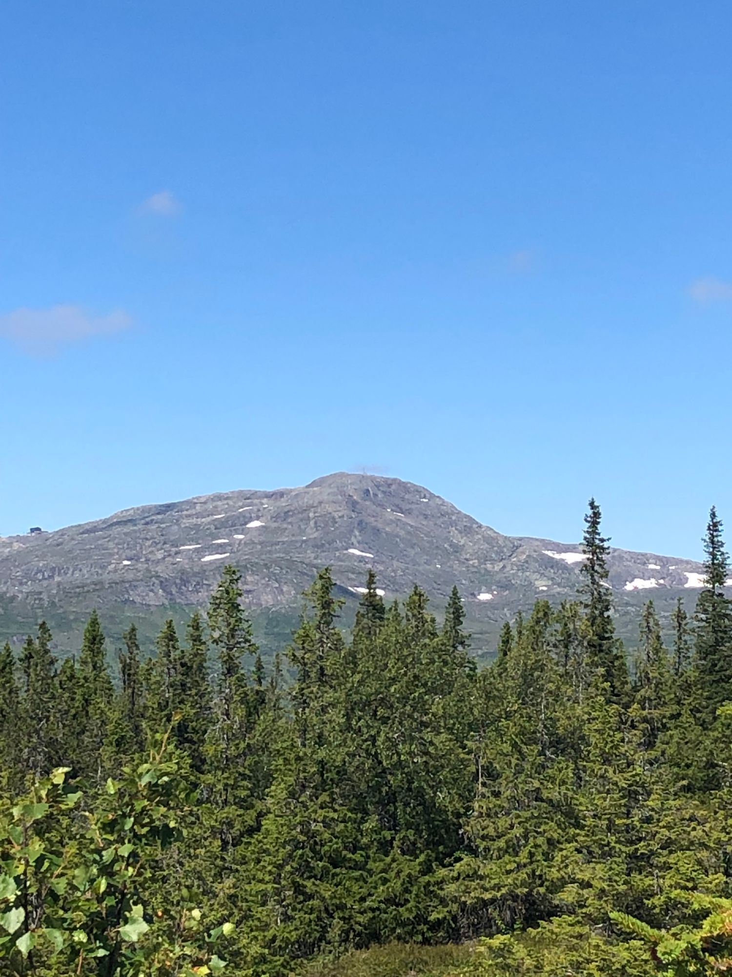 Åre Björnen – bild 10 av 10