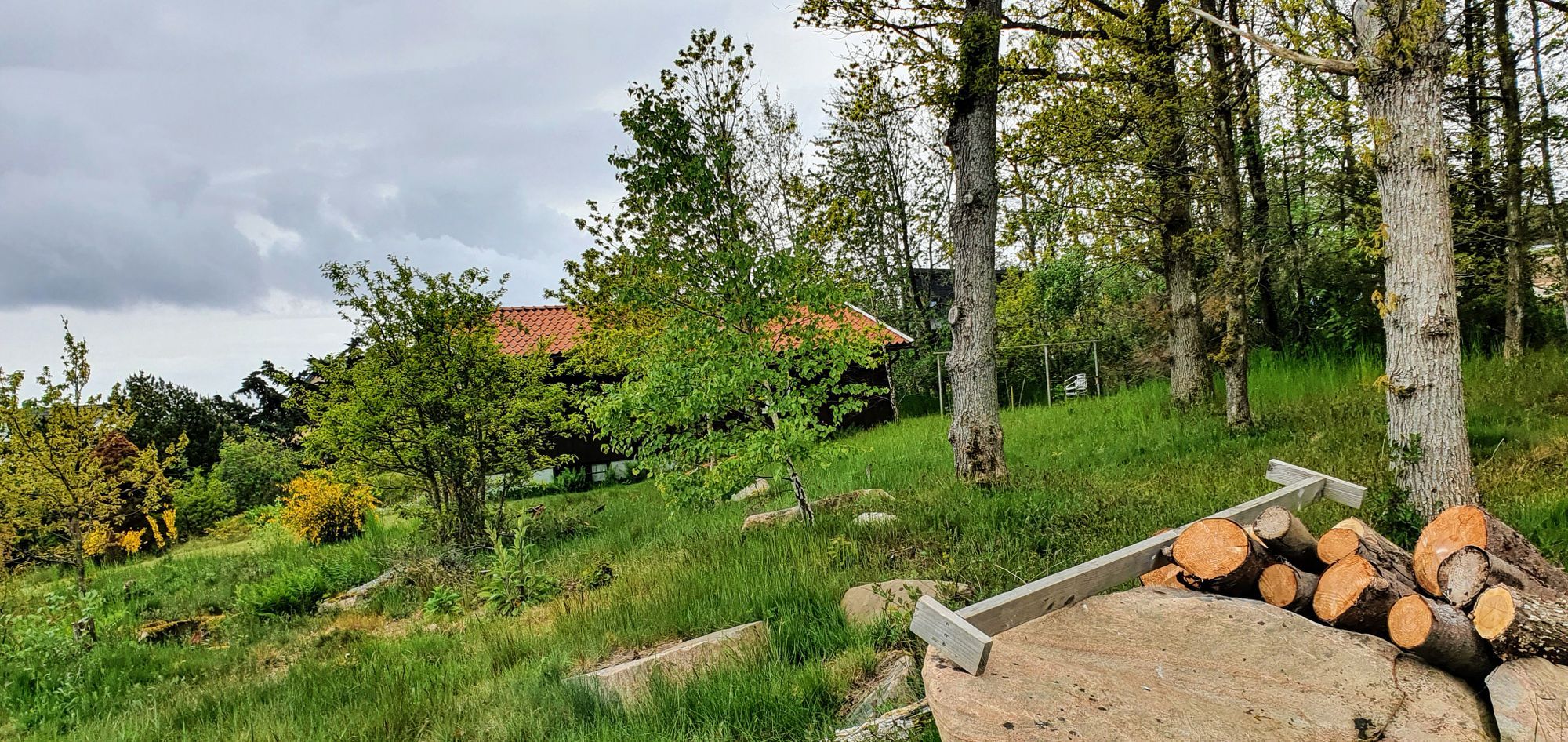 Falkenberg-Ringsegård-Skrea-800 m till stranden. – bild 11 av 24