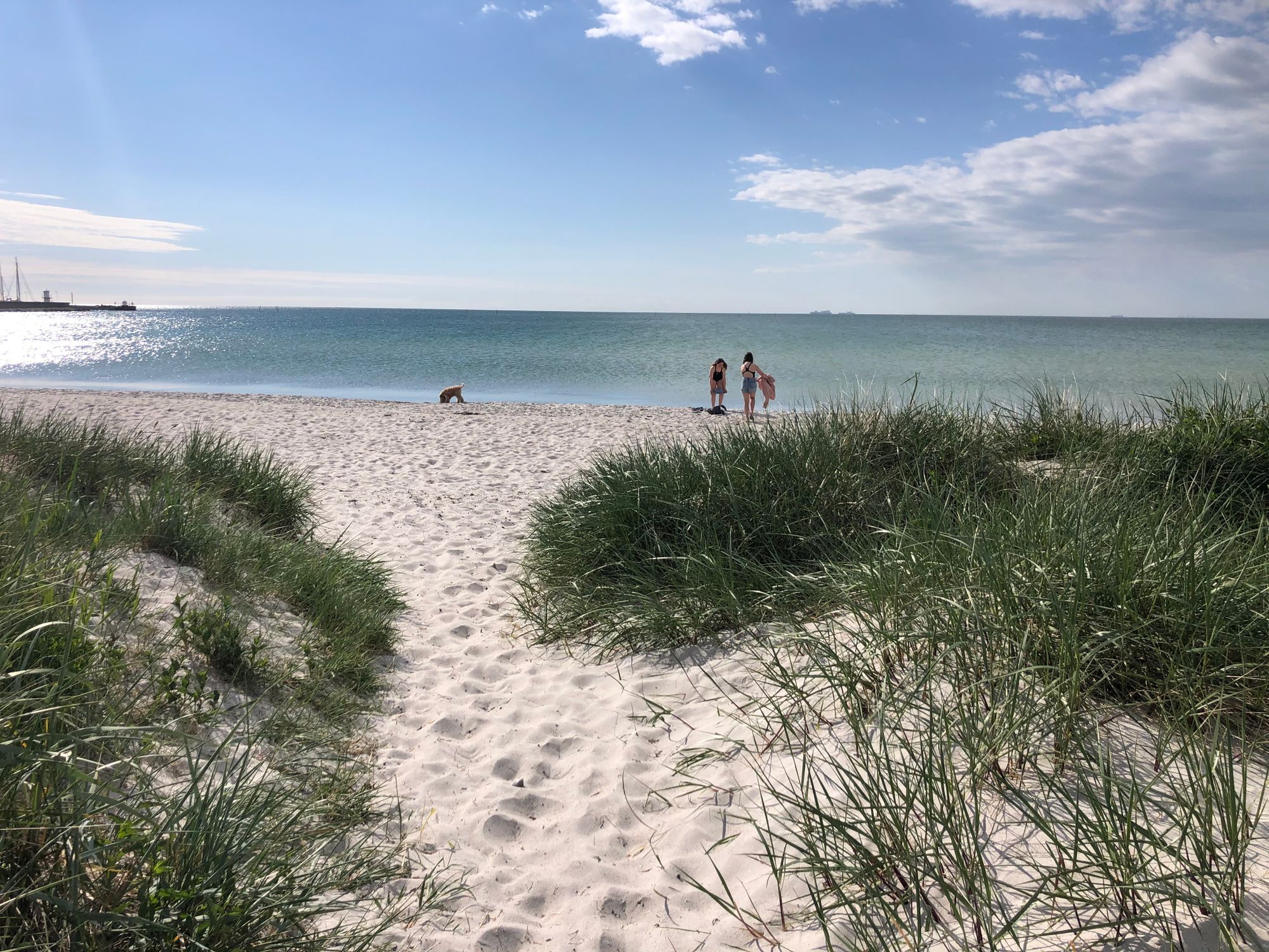 Gästdel med egen ingång - Falsterbo – bild 10 av 10