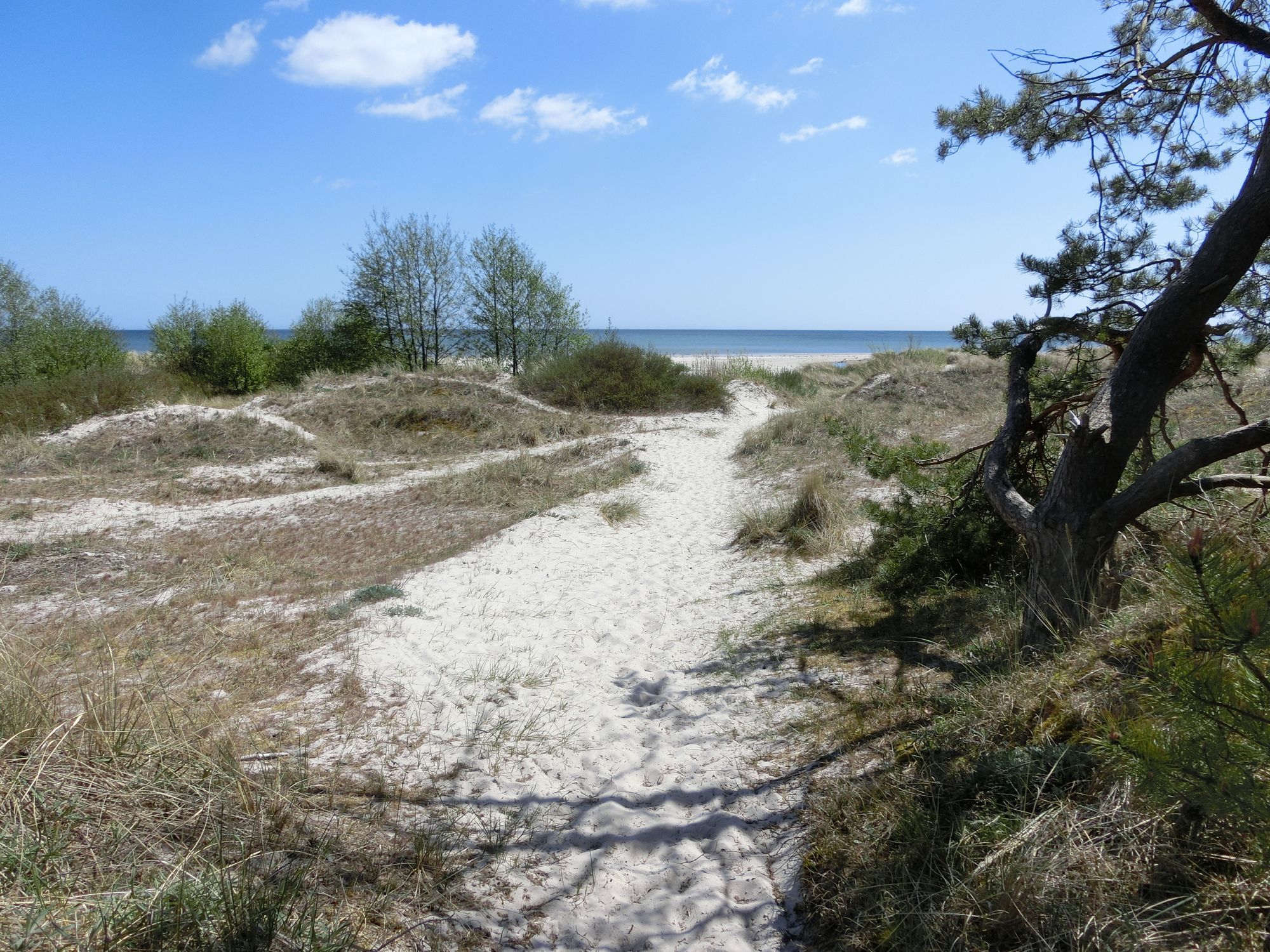 Havsnära lägenhet Österlen, Sandby, Mälarhusen – bild 19 av 24