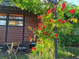Mysig stuga i Roslagen! 🐦🌳🌼