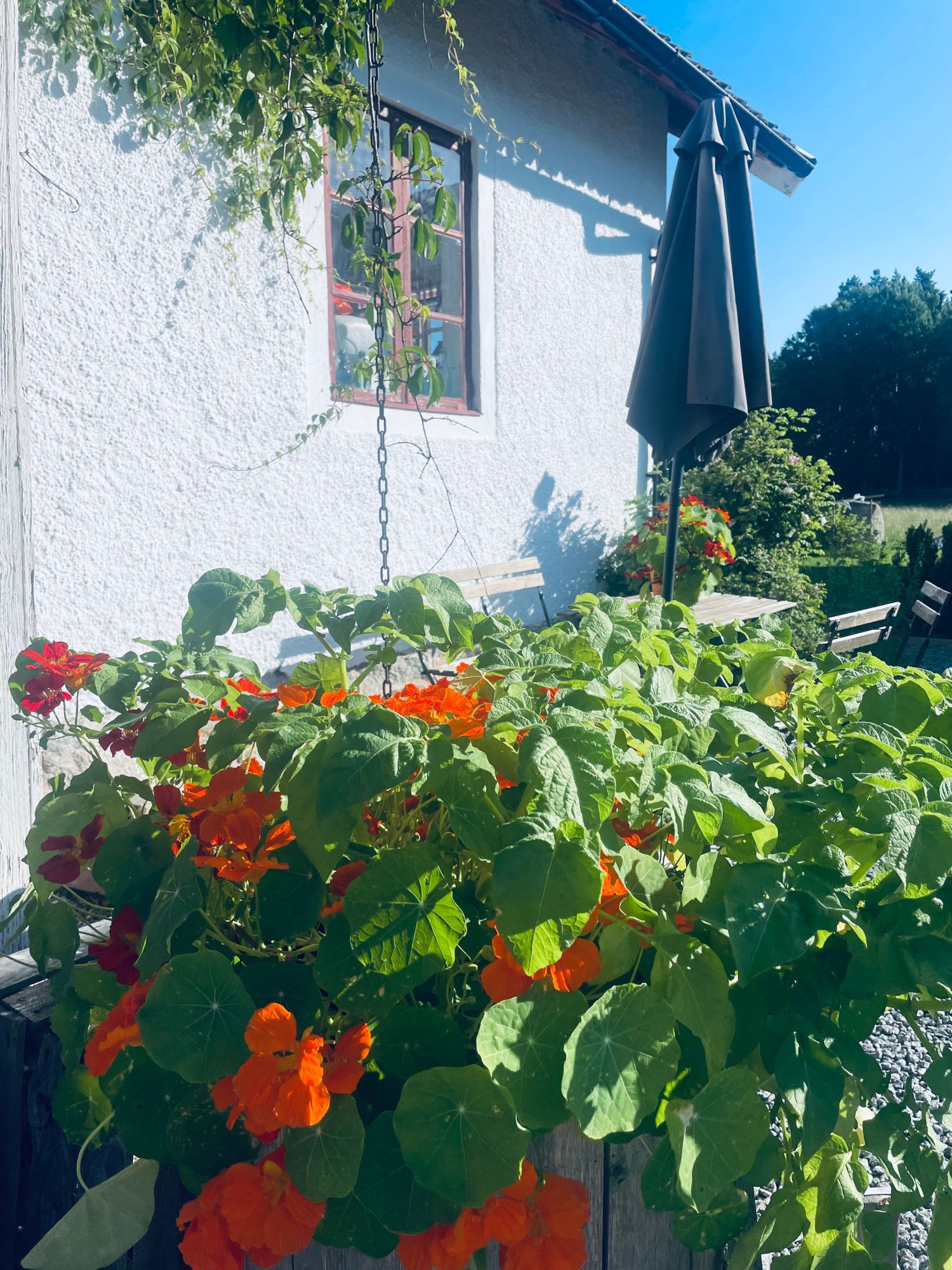 Råmarbo – bild 6 av 24