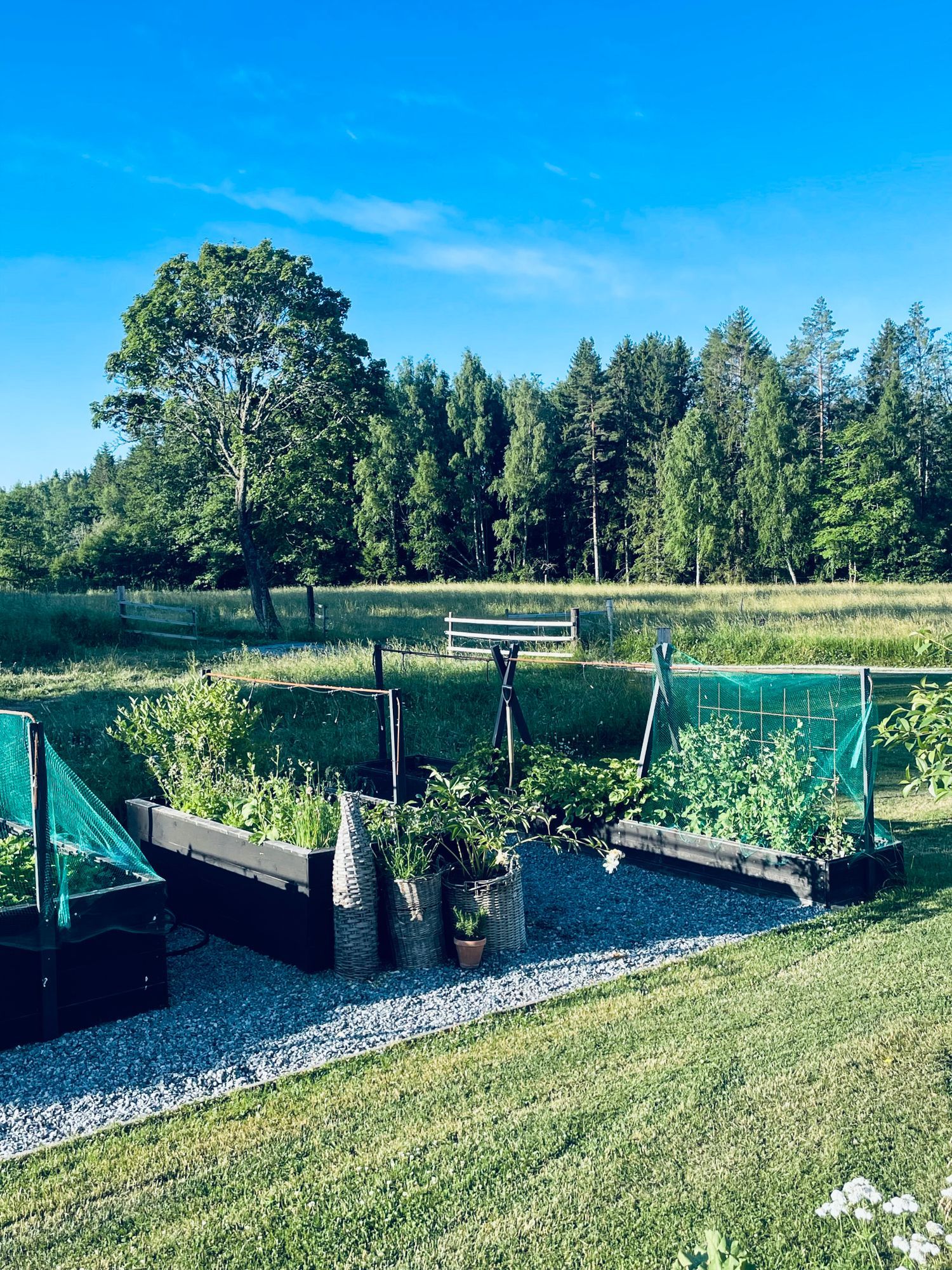 Råmarbo – bild 11 av 24