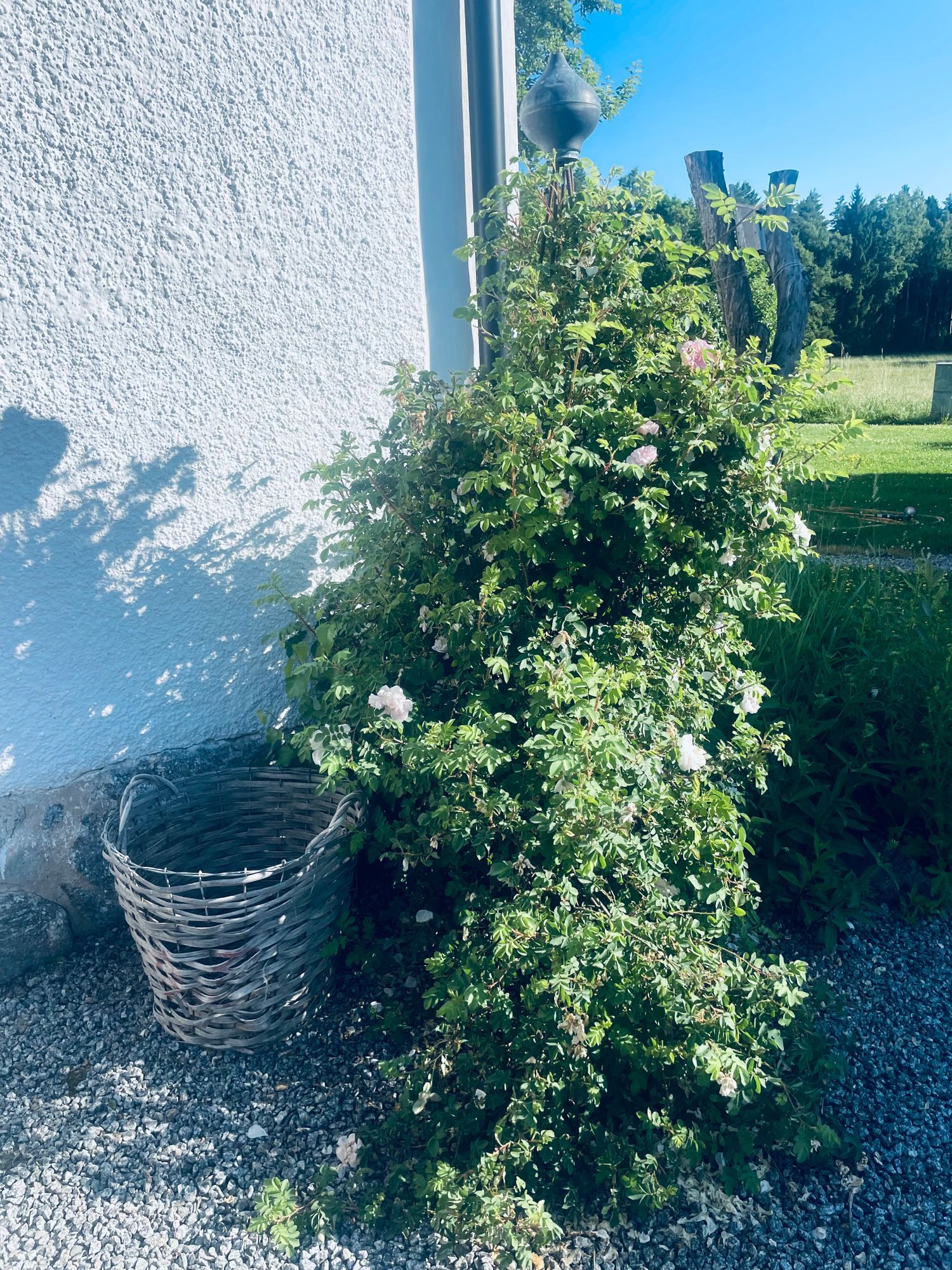 Råmarbo – bild 9 av 24