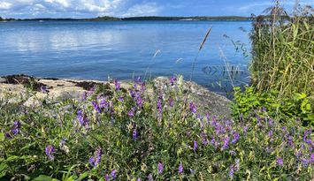 Stuga med sjötomt och egen brygga