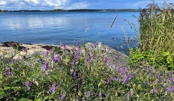 Stuga med sjötomt och egen brygga