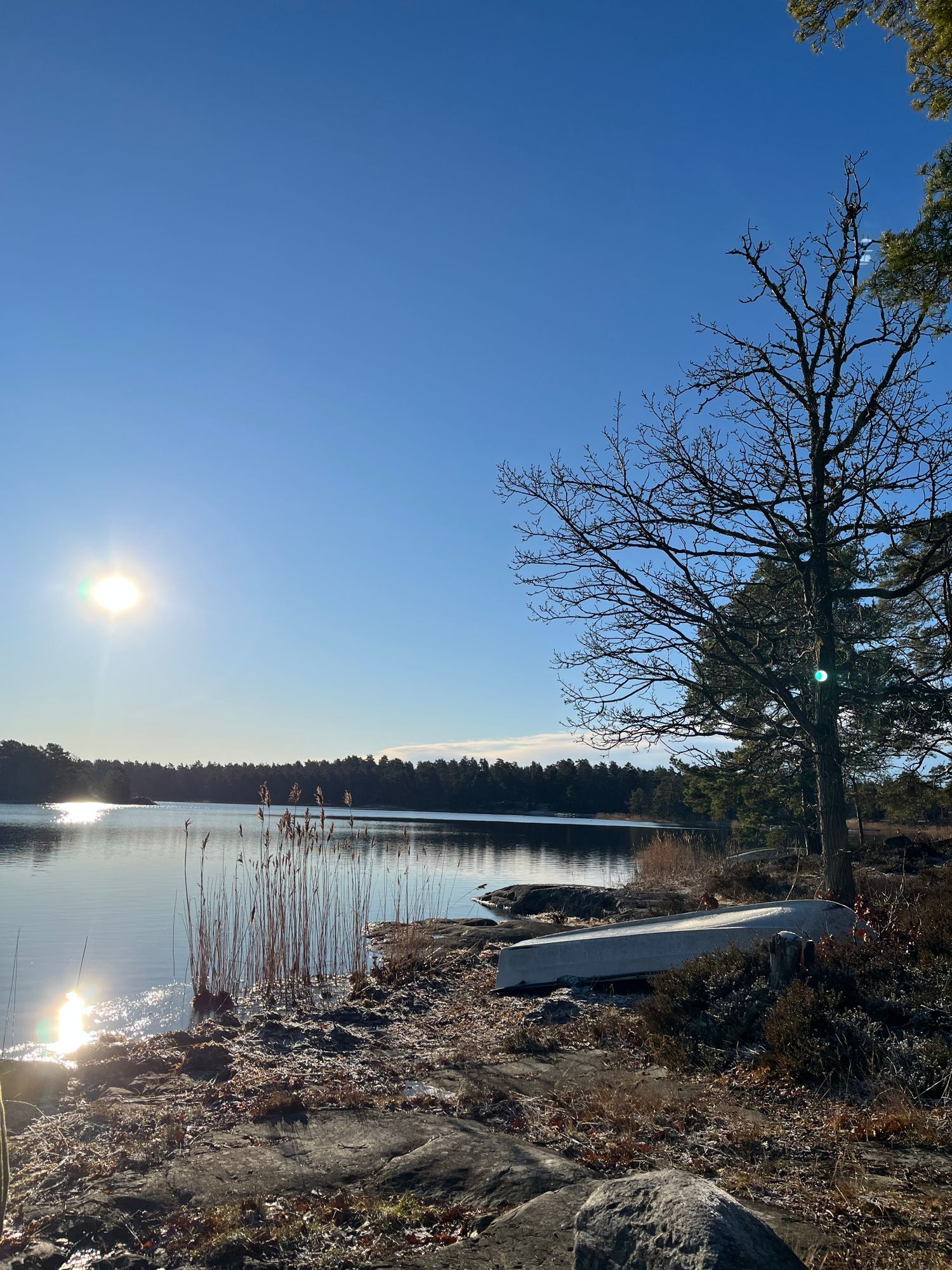 Mysig stuga nära hav och skog utanför Västervik – bild 23 av 23