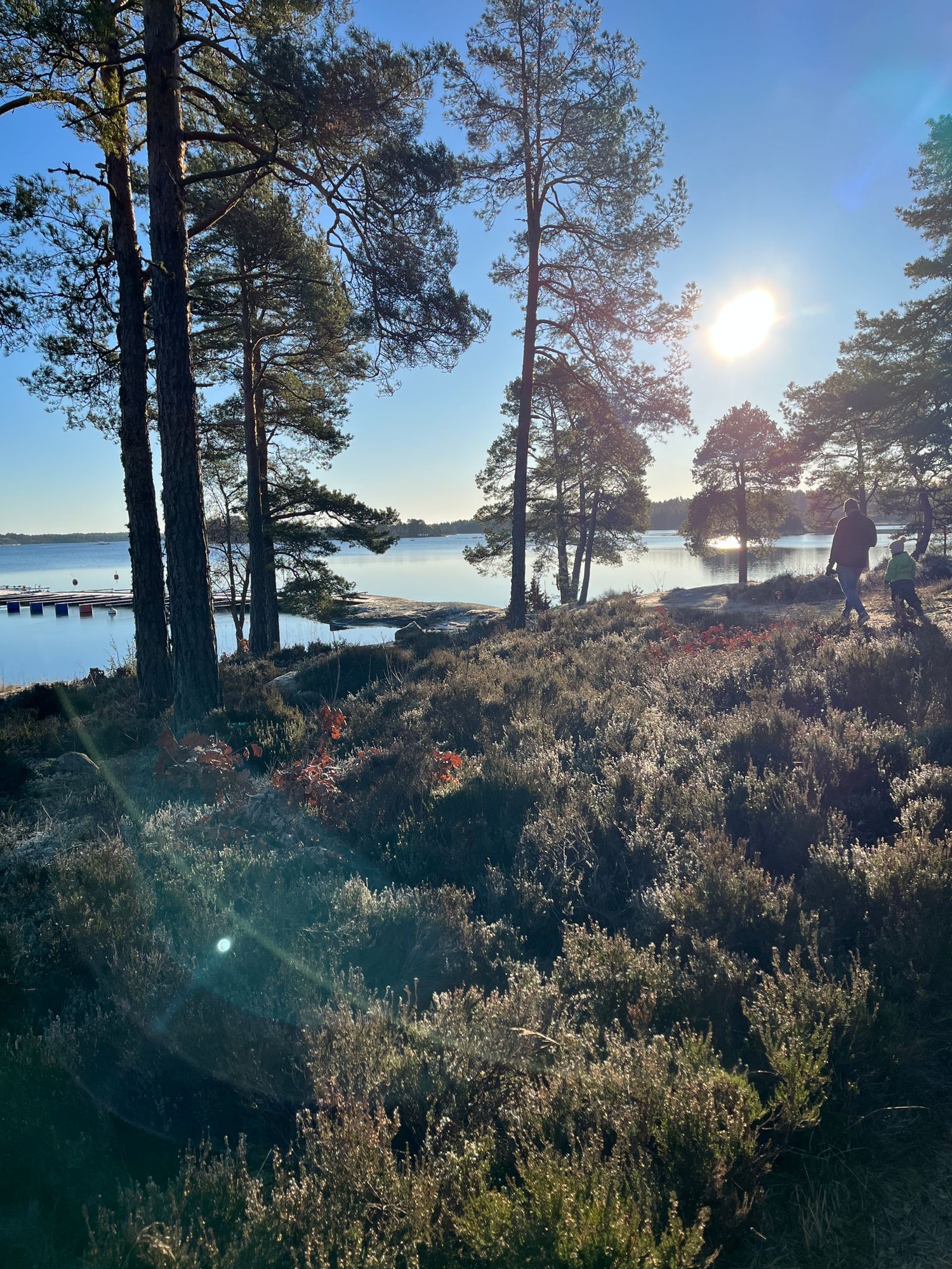 Mysig stuga nära hav och skog utanför Västervik – bild 21 av 23