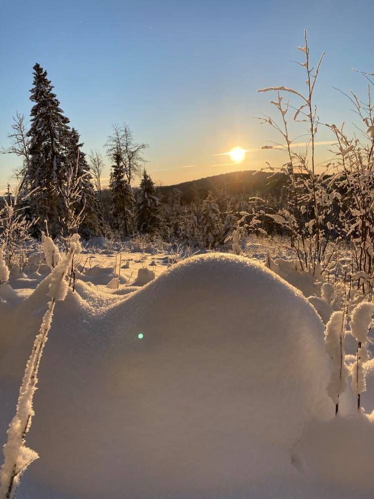 Uthyres i Säfsen Fredriksberg Ludvika kommun. – bild 7 av 24