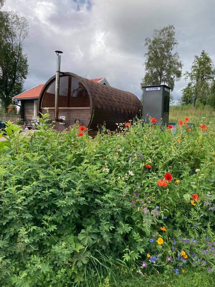 Uthyres i Säfsen Fredriksberg Ludvika kommun. – bild 21 av 24