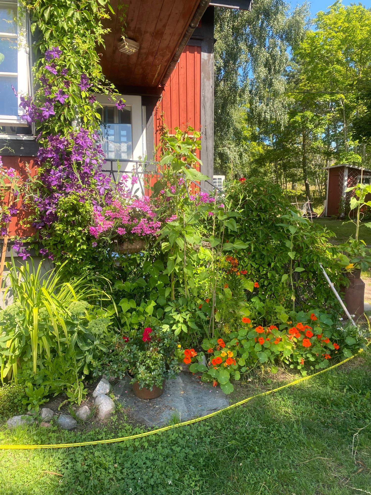 Sekelskiftsvilla – bild 9 av 11