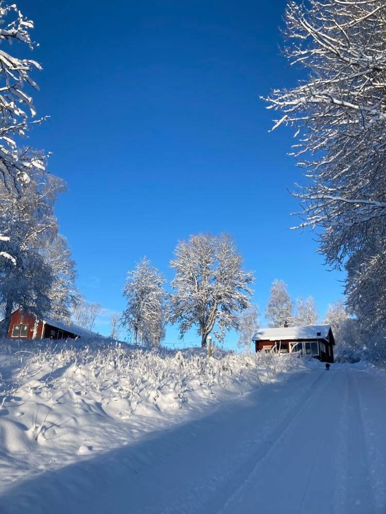 Uthyres i Säfsen Fredriksberg Ludvika kommun. – bild 6 av 24