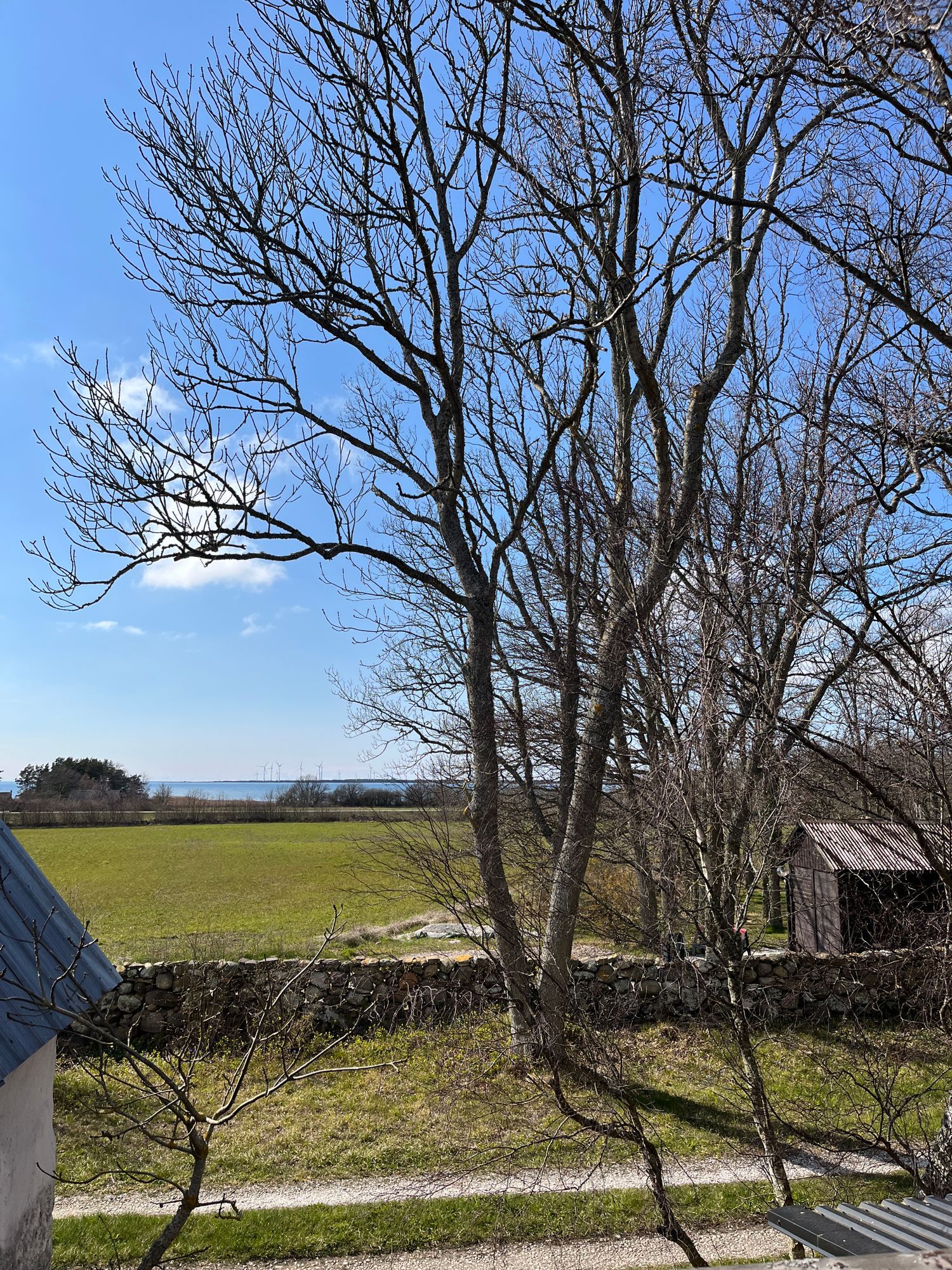 Kalkstenshus på Storsudret, Gotland – bild 11 av 11