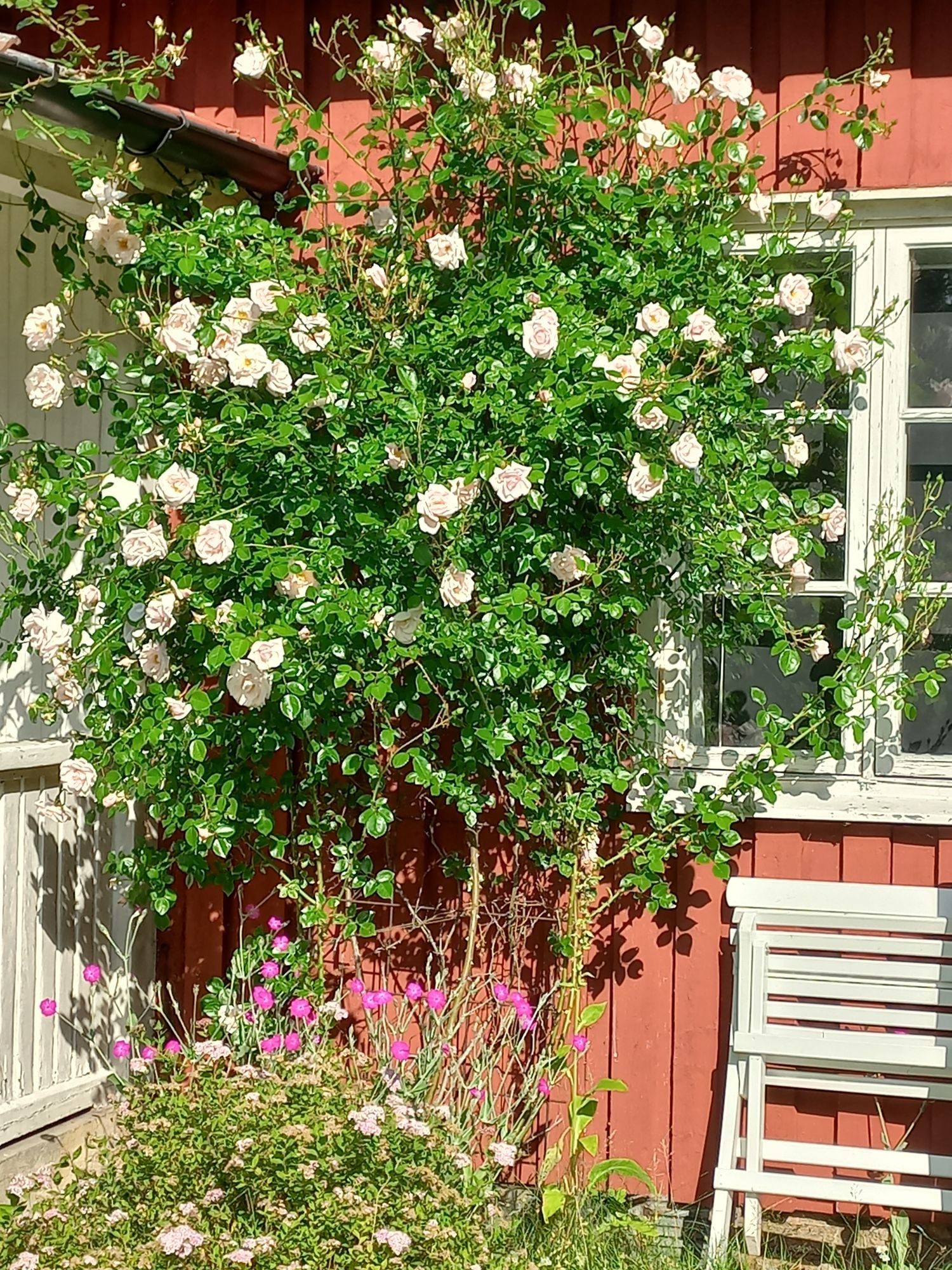 Stuga på Kållandsö – bild 4 av 24