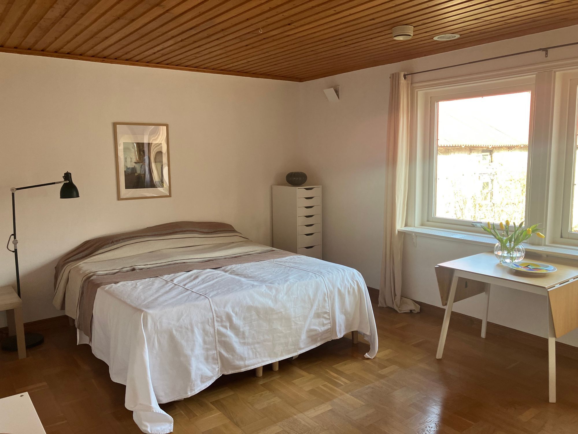 Hus vid Alvarets kant- fågelskådare – bild 19 av 19
