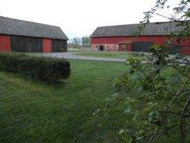 Stuga, och plats för egen häst, Kinnekulle