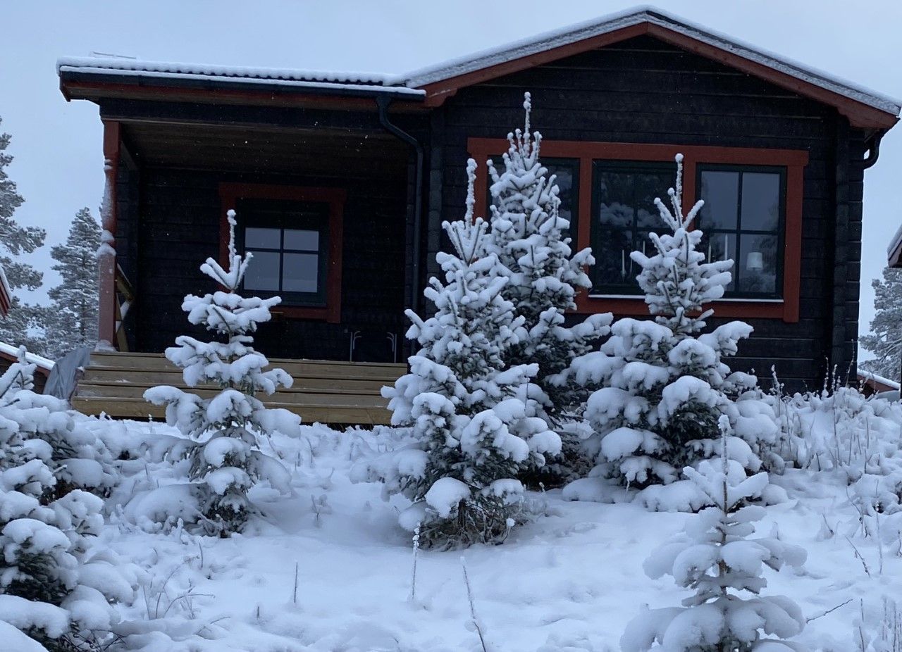 Näsfjället, Sälenfjällen – bild 18 av 20