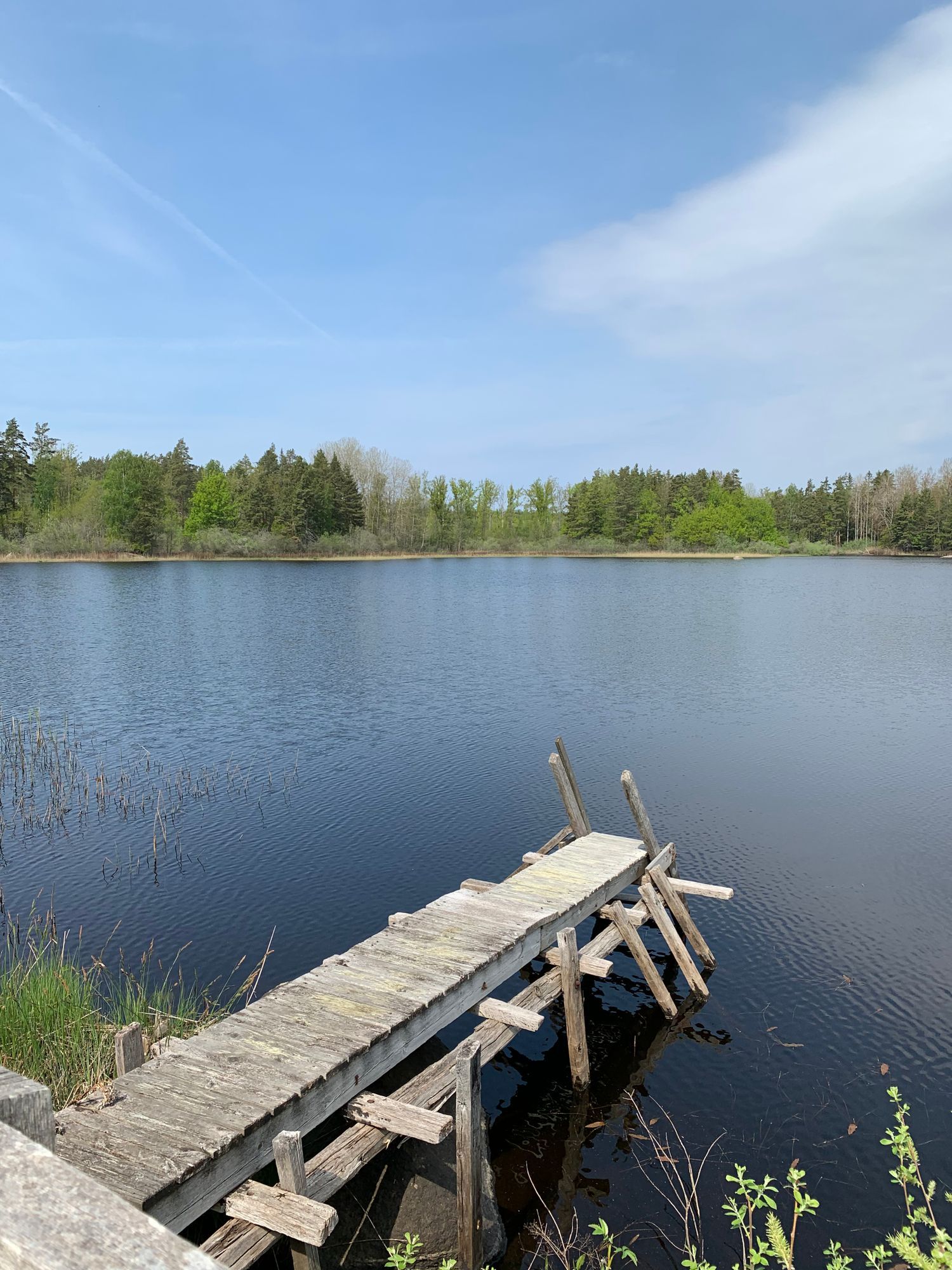 Stuga vid sjö och vacker natur och lugnt – bild 8 av 8