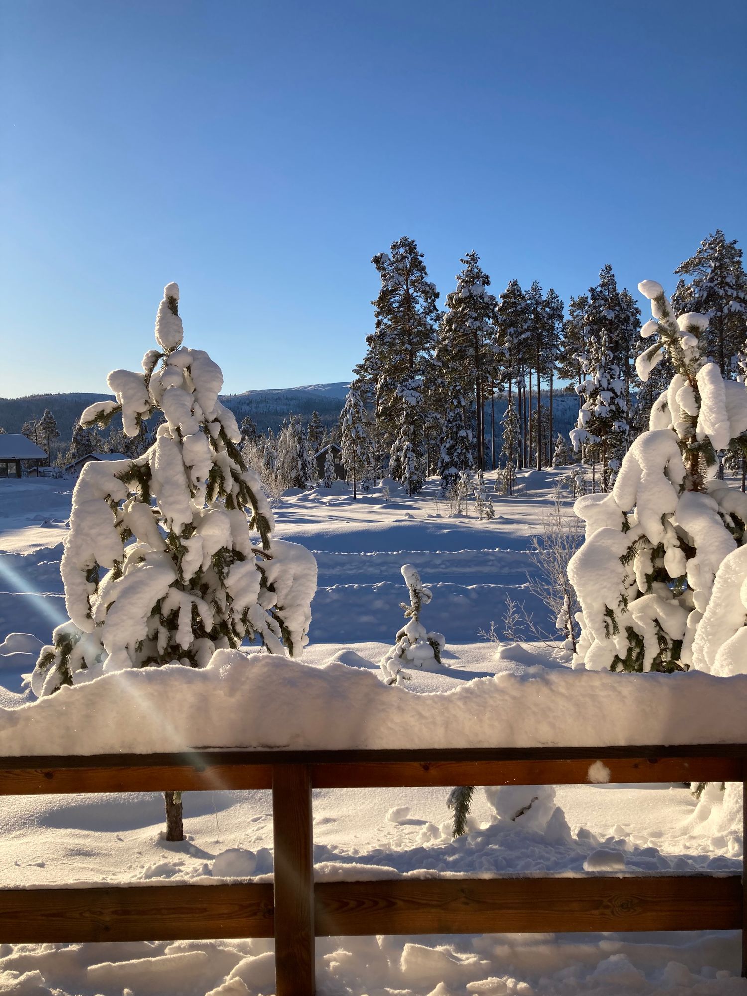 Mysig stuga i Lofsdalen Tjädervägen 22. – bild 23 av 23