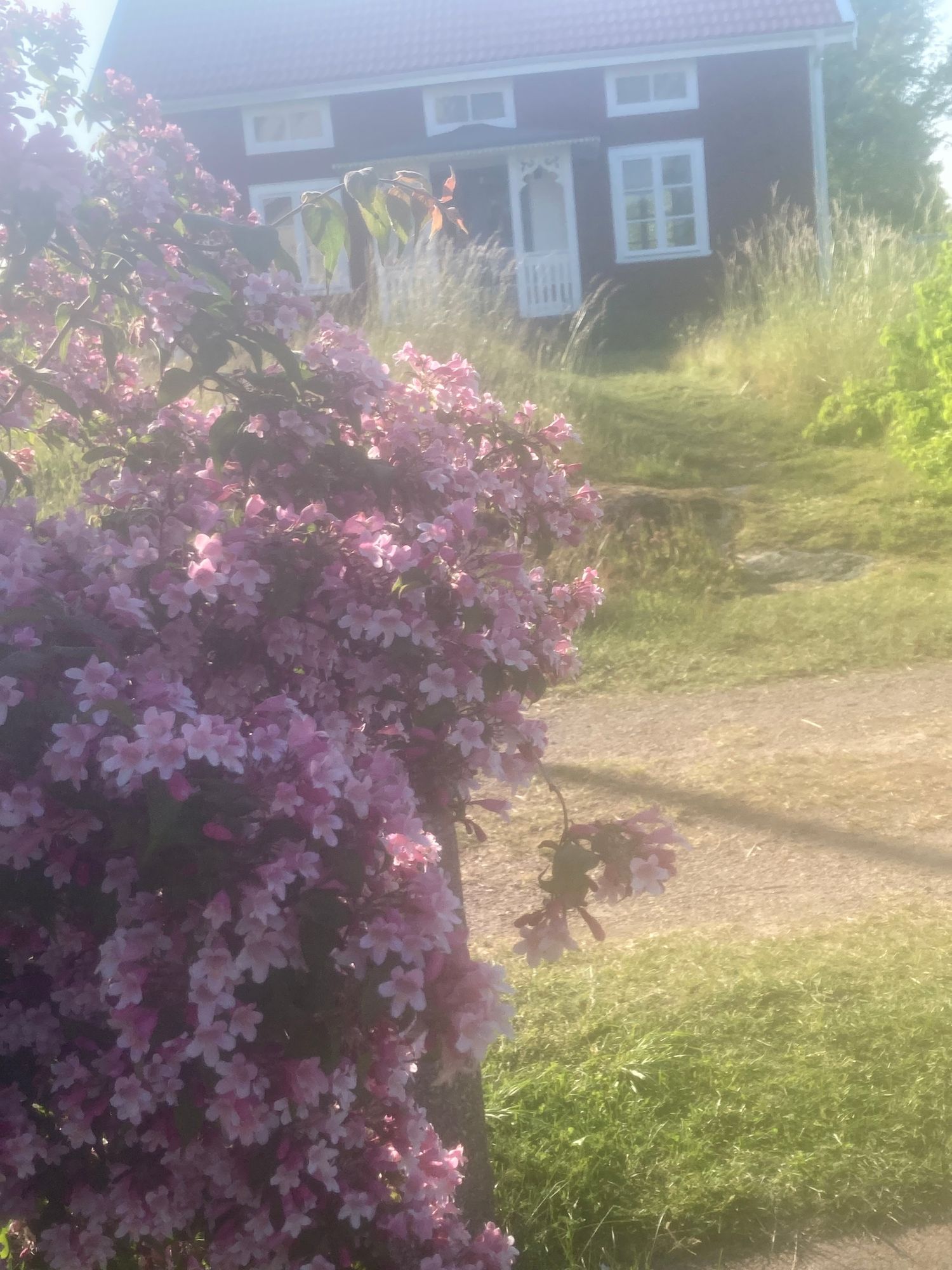 Stuga (Drängstuga) 25 km till Astrid Lindgren-Byn – bild 16 av 24